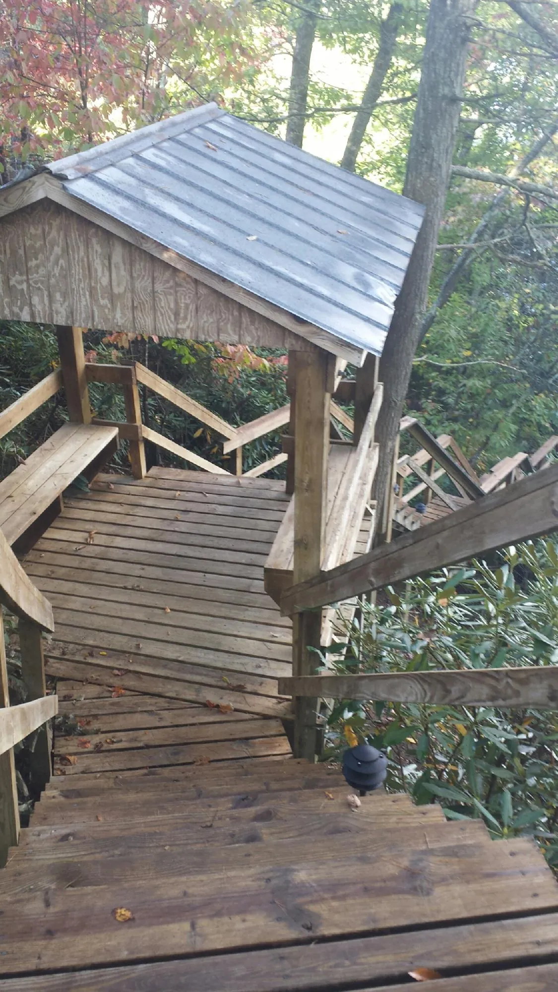 Metal roofed shelter over wooden steps on a wooded walkway — Skylight Repair & Installation work by our crew in Pharr